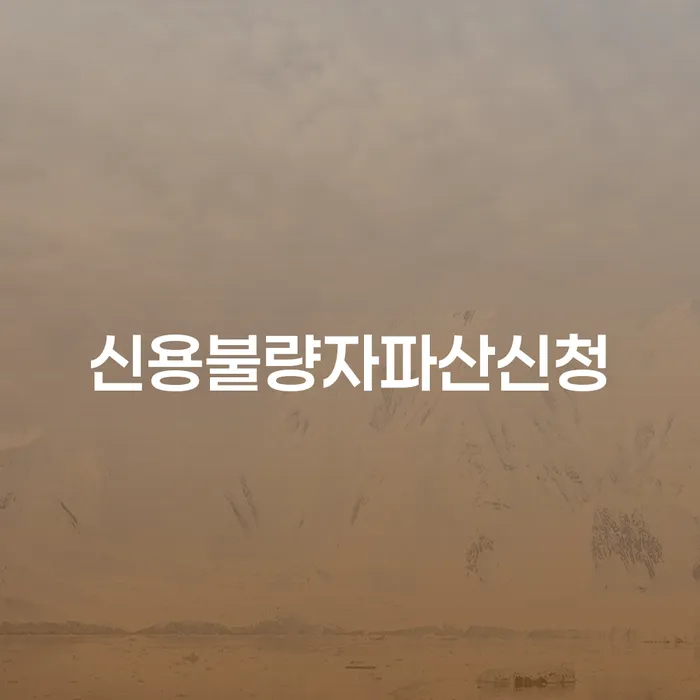 개인회생전문 연체 채무 신속해결방법 잘 하는 변호사