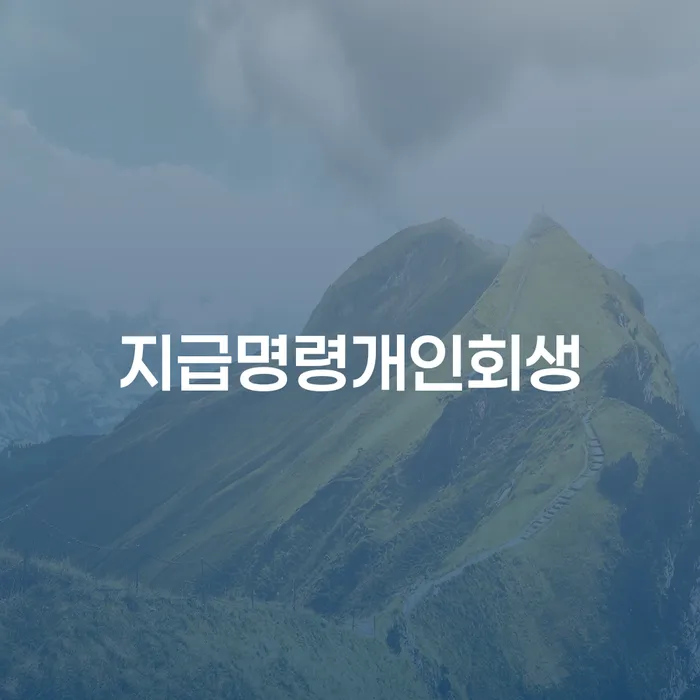 개인회생 추심 대응법 주목받는