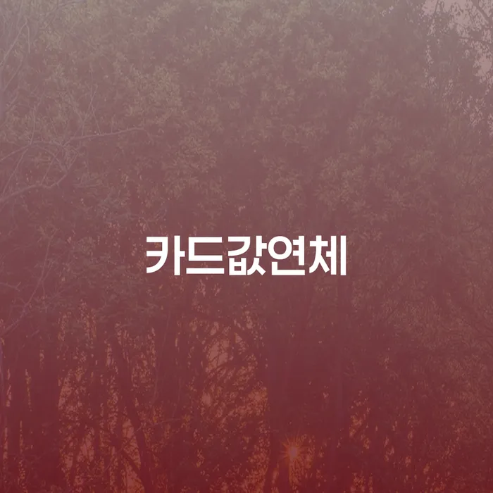 개인회생소득 대출 연체 개인회생 진행방안