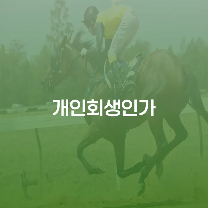 중랑구 개인회생전문 개인회생 처리방법 다른방법이