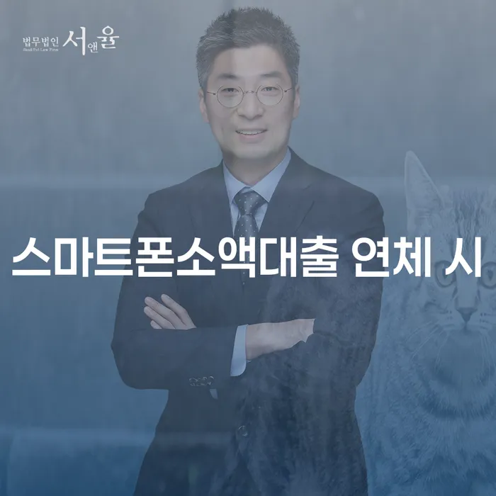 포천시 개인회생수임료대출 안하고 자체 분납이 가능한 대출 연체 개인회생 추천하는 법률사무소