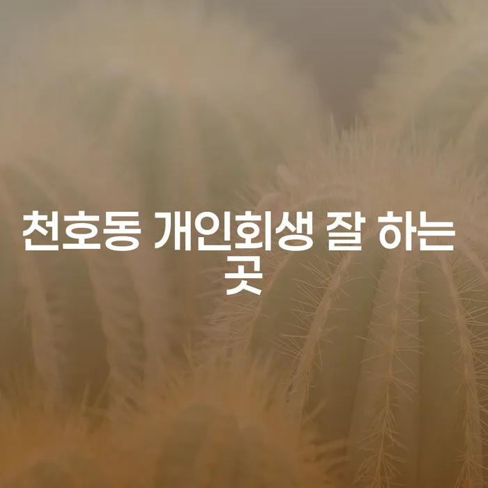 천호동 개인회생 잘 하는 곳