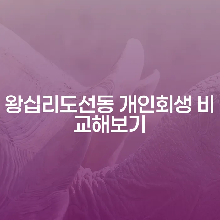 왕십리도선동 개인회생 비교해보기