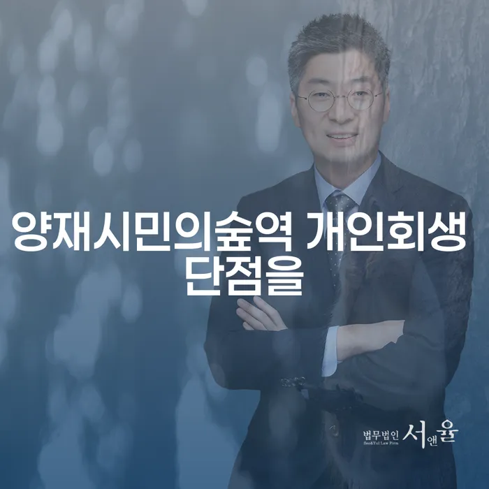 양재시민의숲역 개인회생 단점을