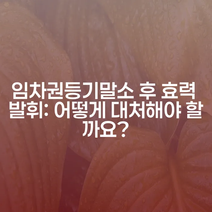 임차권등기말소 후 효력 발휘: 어떻게 대처해야 할까요?