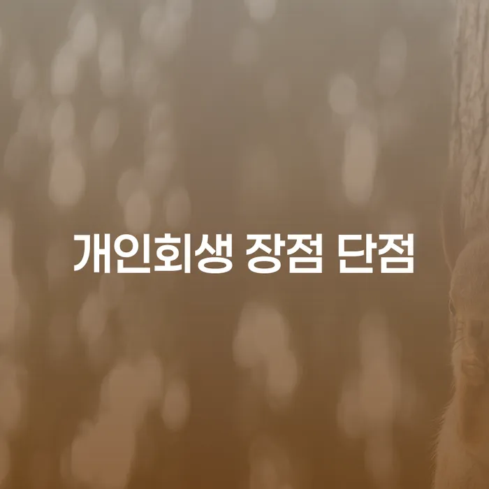 왕십리동 개인회생 장점과 단점에 대한 심층 분석