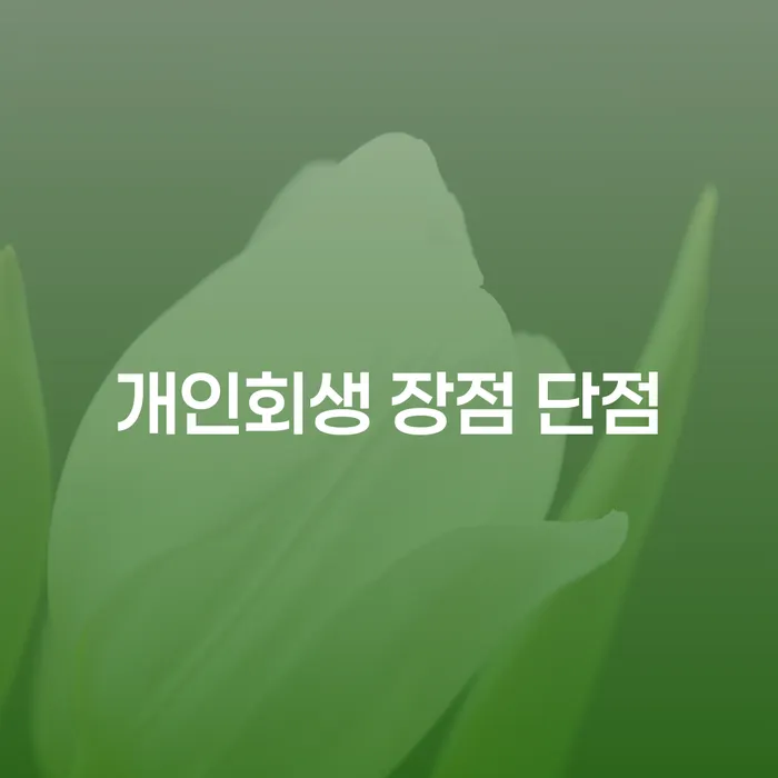 효창동 개인회생의 장점과 단점에 대한 깊이 있는 이해