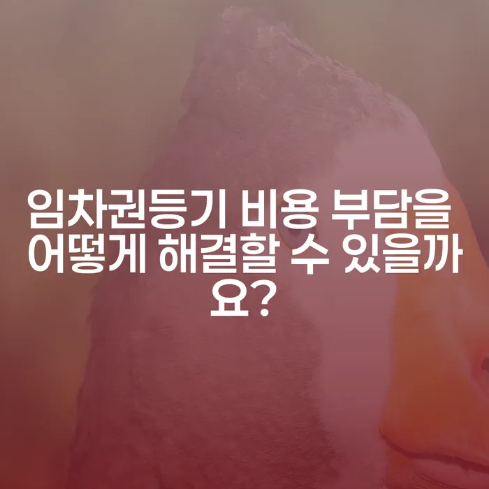 임차권등기 비용 부담을 어떻게 해결할 수 있을까요?