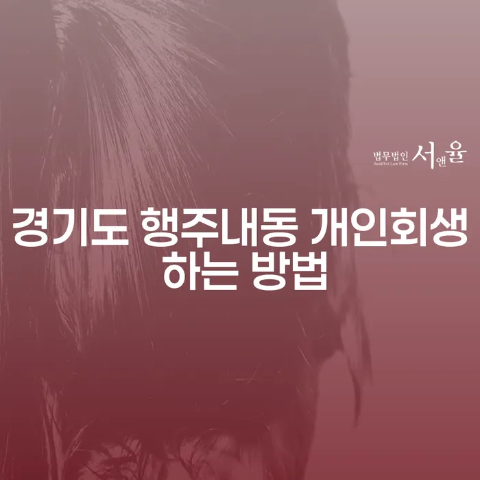 경기도 행주내동 개인회생 어떻게 해야 할까요?