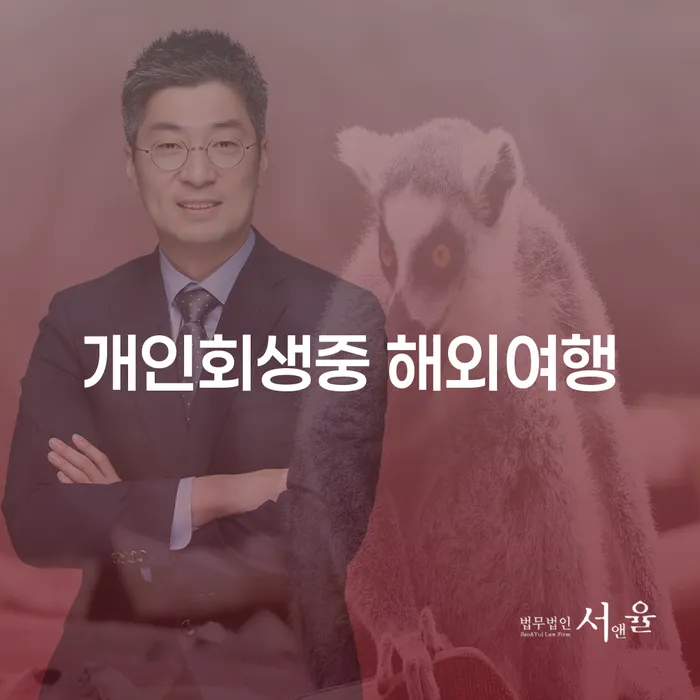 개인회생 중 해외여행이 가능할까요? 알아야 할 모든 것!